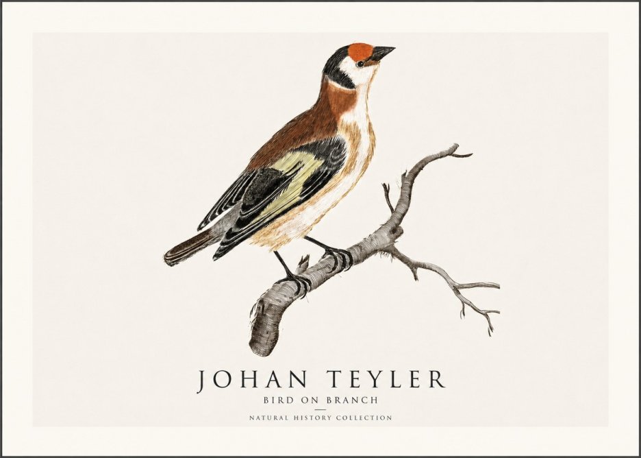 Johan Teyler Song of the Finch No2 - Plakat