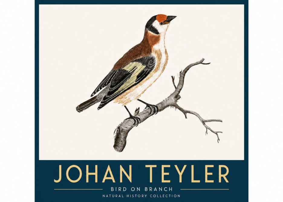 Johan Teyler Song of the Finch No4 - Plakat