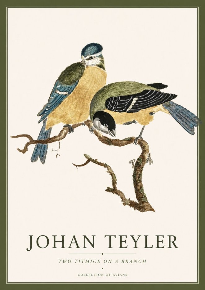 Johan Teyler Two Titmice on a Branch No4 - Plakat