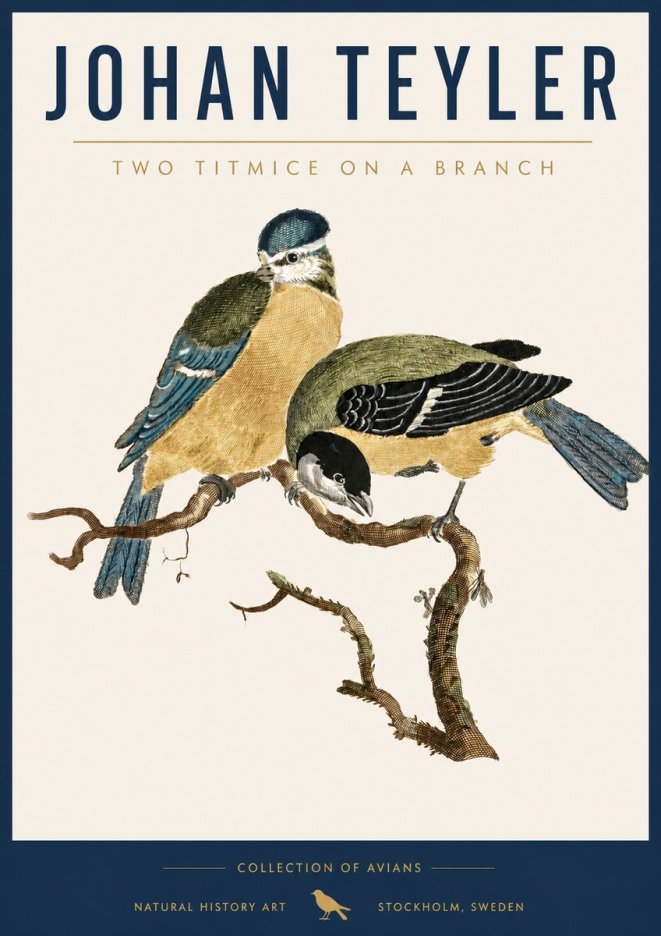 Johan Teyler Two Titmice on a Branch No5 - Plakat