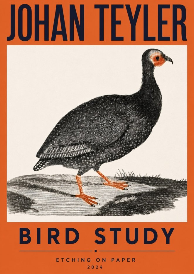 Johan Teyler Bird Study III No2 - Plakat
