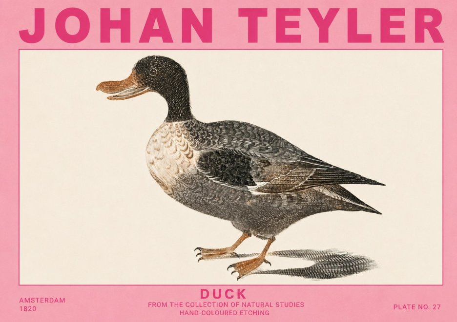 Johan Teyler Duck I No5 - Plakat