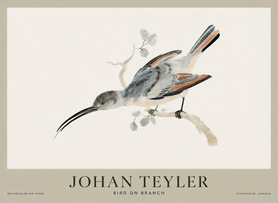 Johan Teyler Bird on Branch I No1 - Plakat