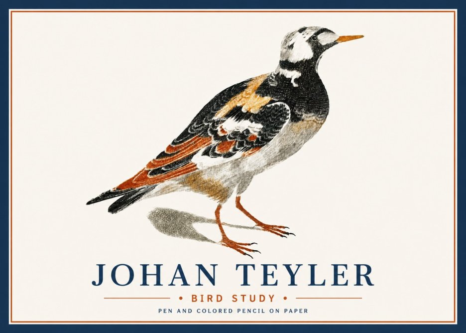 Johan Teyler Bird Study IV No6 - Plakat