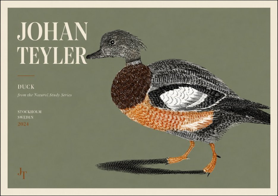 Johan Teyler Duck II No3 - Plakat