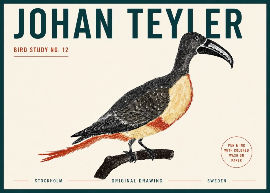 Johan Teyler Bird Study No. 12 - Original Drawing No5 - Plakat