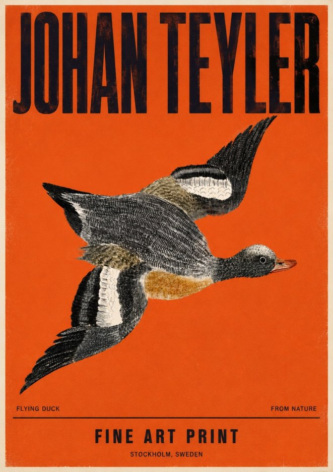 Johan Teyler Flying Duck No4 - Plakat