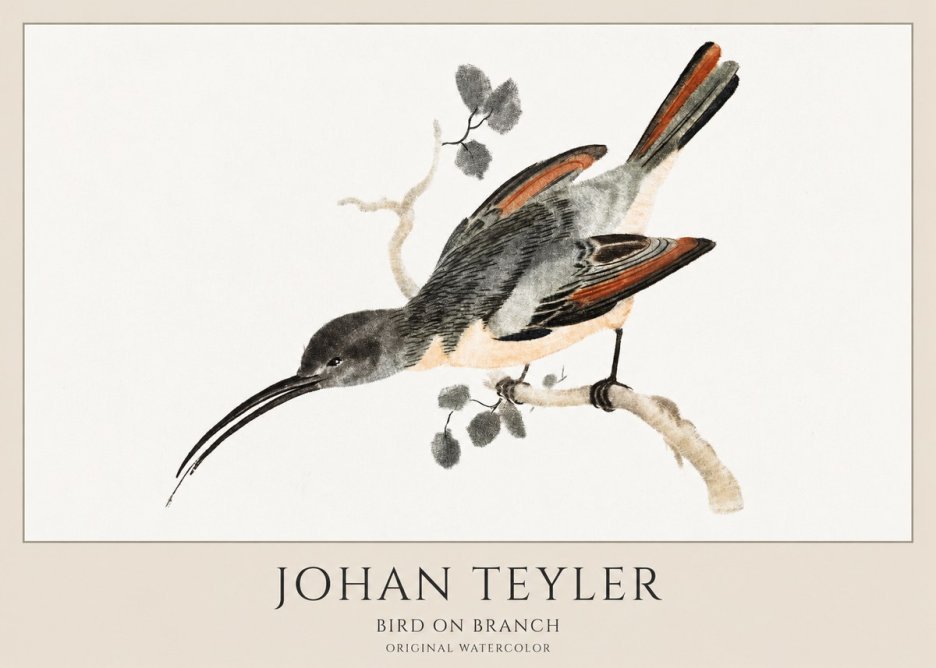 Johan Teyler Bird on Branch II No1 - Plakat