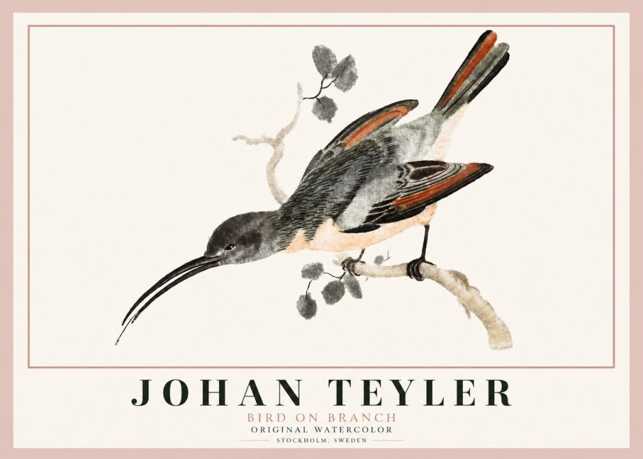 Johan Teyler Bird on Branch II No3 - Plakat