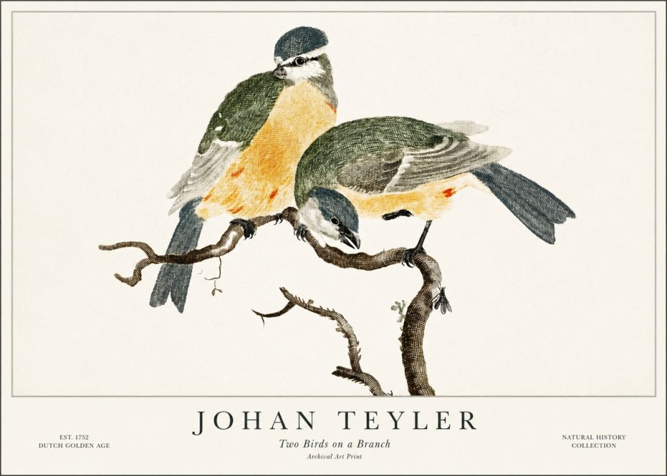 Johan Teyler Two Birds on a Branch No1 - Plakat