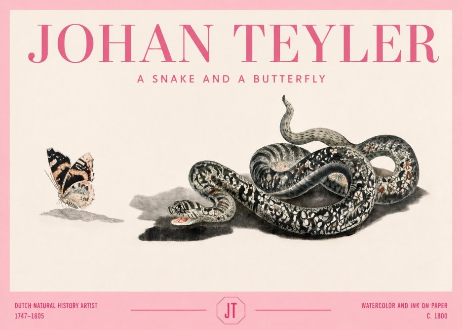 Johan Teyler Snake and Butterfly No4 - Plakat