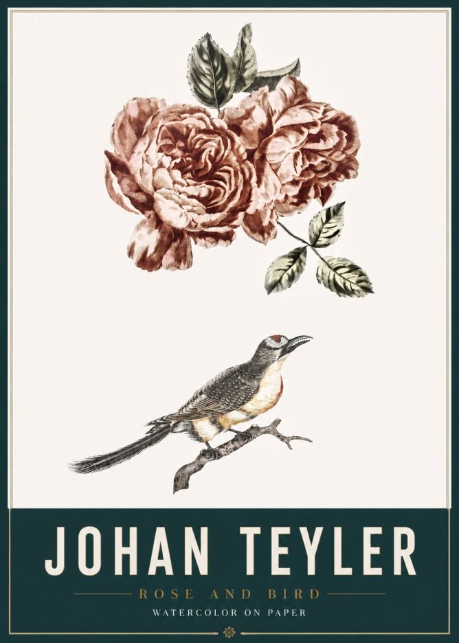 Johan Teyler Rose and Bird II No3 - Plakat