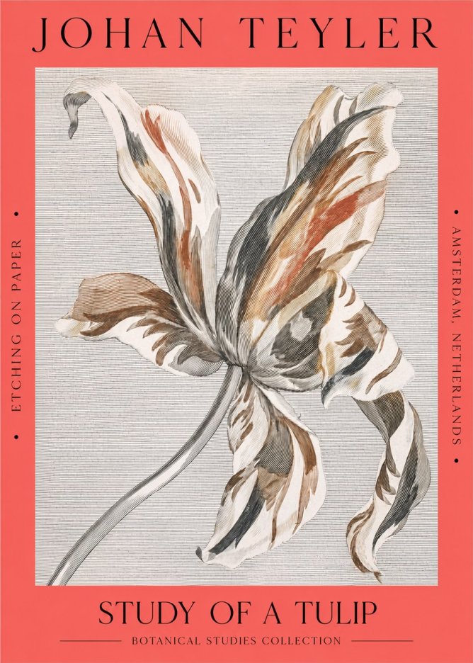 Johan Teyler Study of a Tulip No2 - Plakat