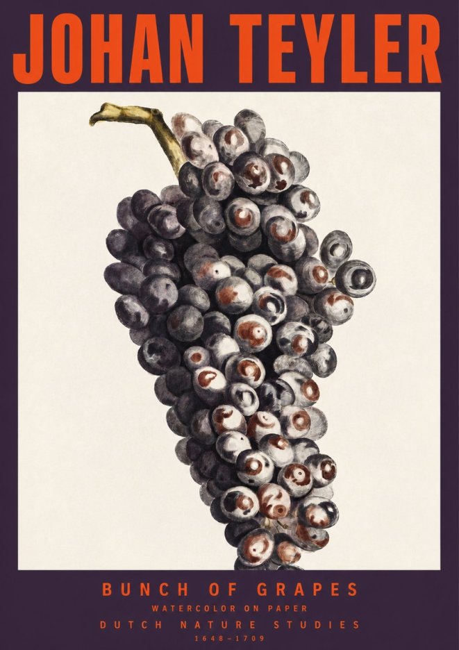 Johan Teyler Bunch of Grapes No2 - Plakat