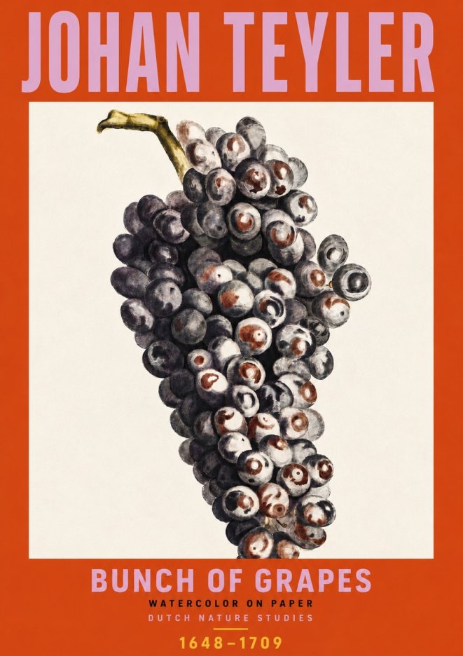 Johan Teyler Bunch of Grapes No6 - Plakat