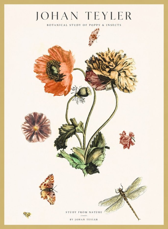 Johan Teyler Botanical Study of Poppy & Insects No1 - Plakat