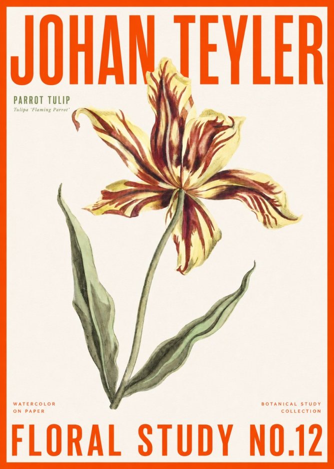Johan Teyler Floral Study I No6 - Plakat