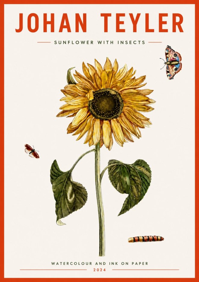 Johan Teyler Sunflower with Insects No4 - Plakat