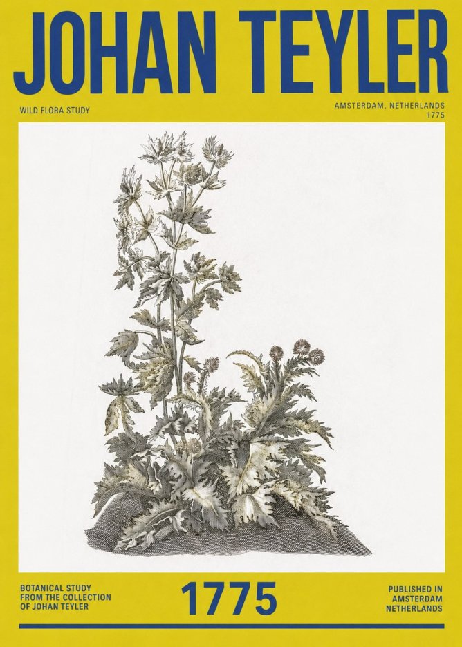 Johan Teyler Wild Flora Study No2 - Plakat