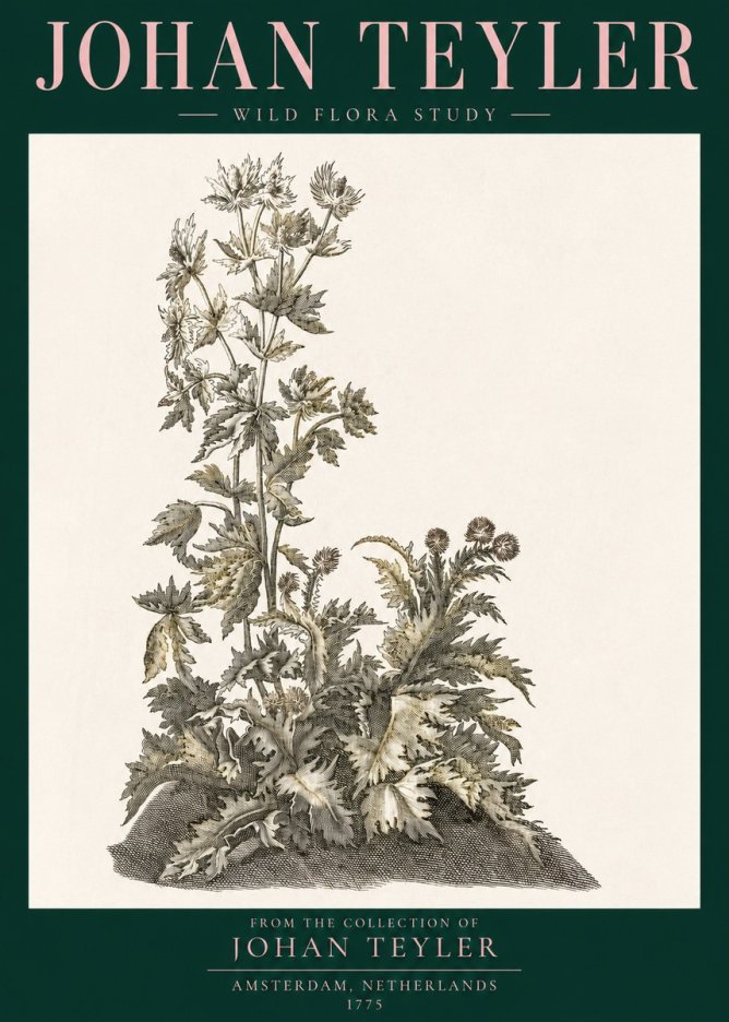 Johan Teyler Wild Flora Study No3 - Plakat