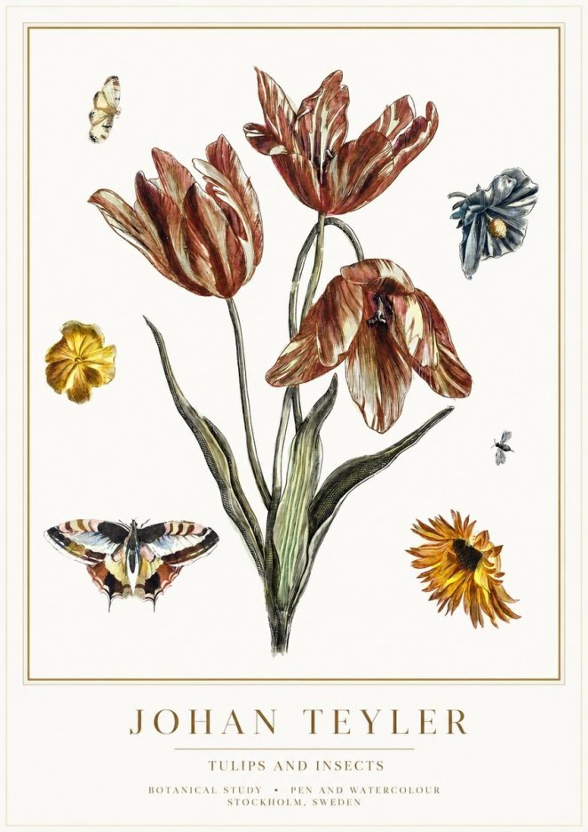Johan Teyler Tulips and Insects No1 - Plakat