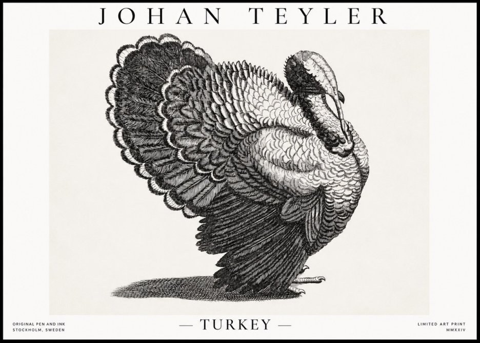 Johan Teyler Turkey No1 - Plakat