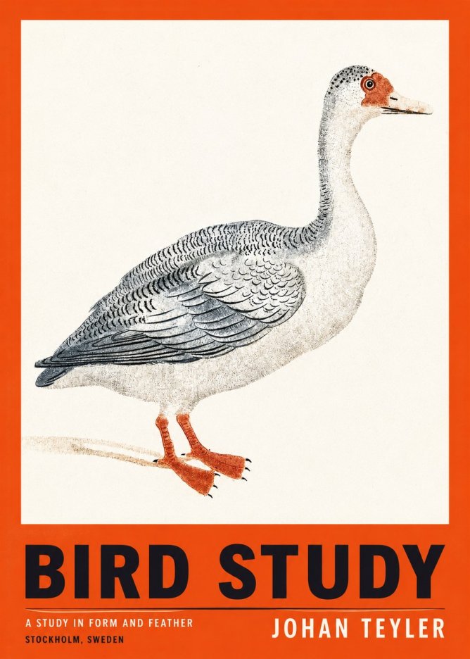 Johan Teyler Goose Study No3 - Plakat