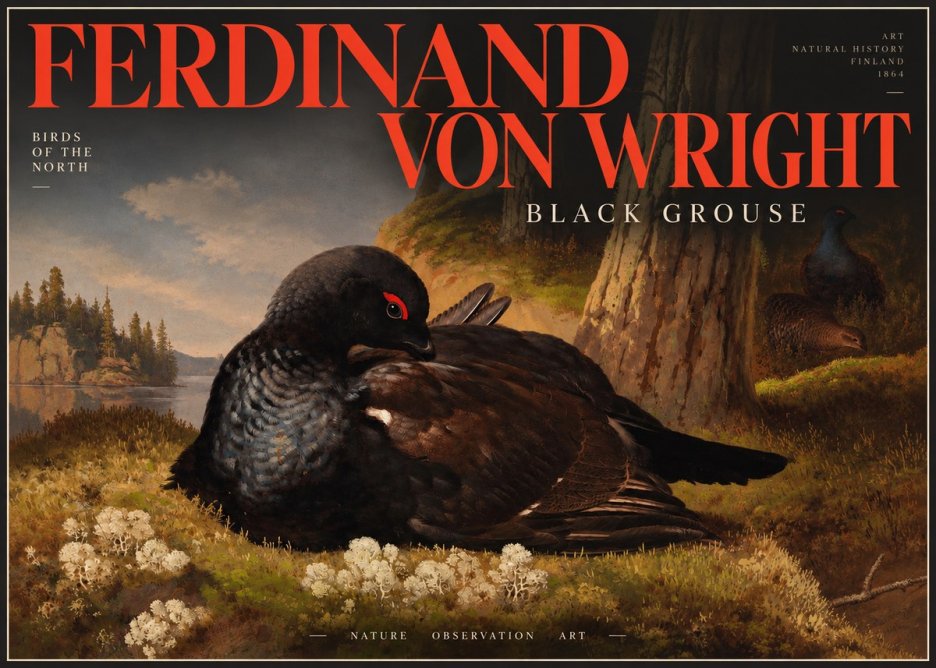 Ferdinand von Wright The Black Grouse No4 - Plakat