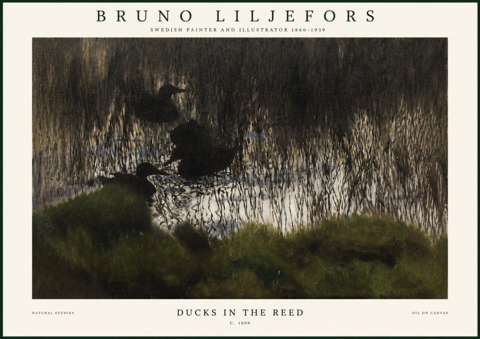 Bruno Liljefors Ducks in the Reed No1 - Plakat
