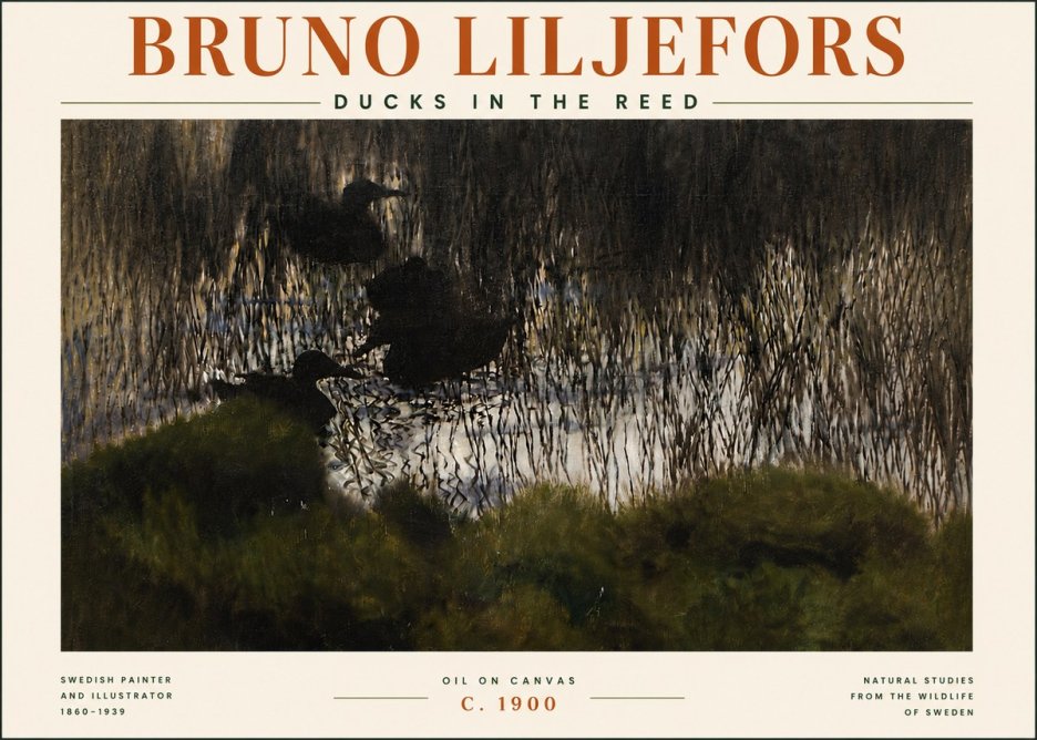 Bruno Liljefors Ducks in the Reed No5 - Plakat