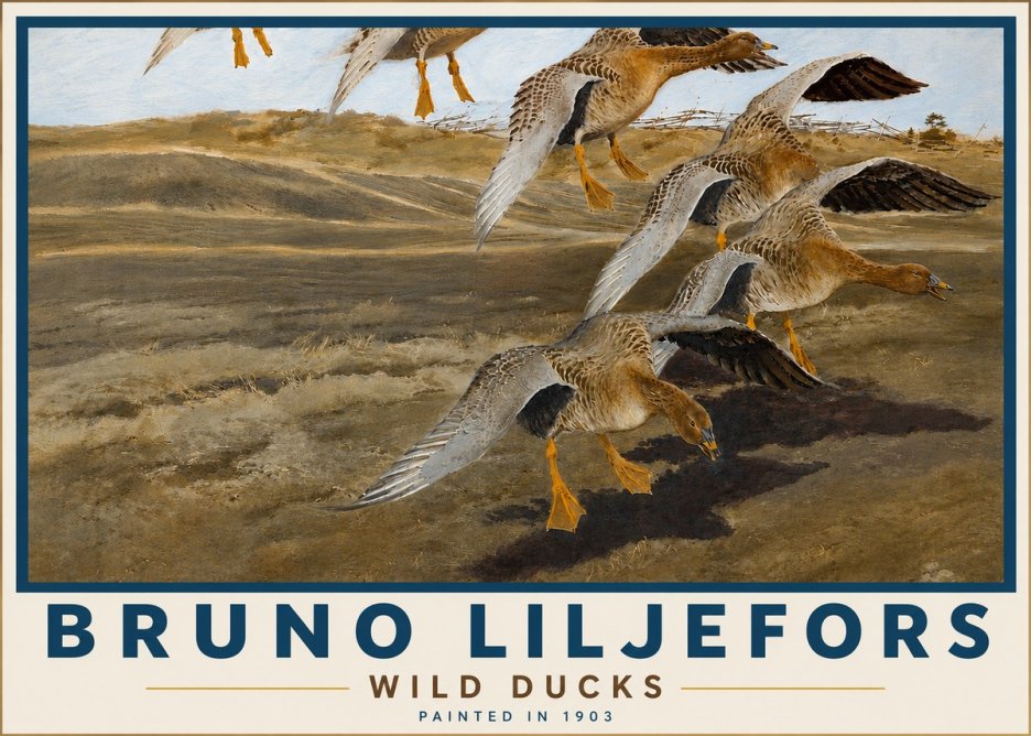 Bruno Liljefors Wild Ducks I No5 - Plakat