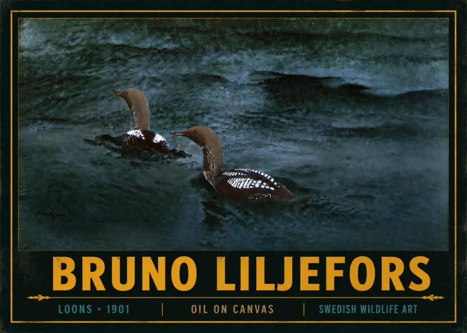Bruno Liljefors Loons · 1901 No4 - Plakat
