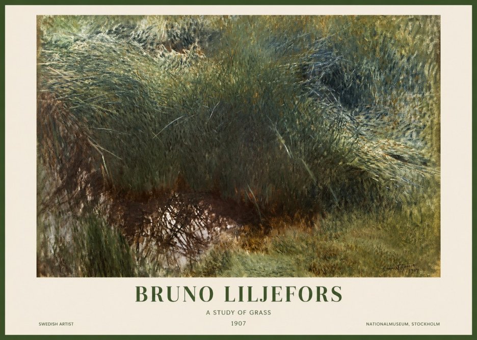 Bruno Liljefors A Study of Grass No1 - Plakat