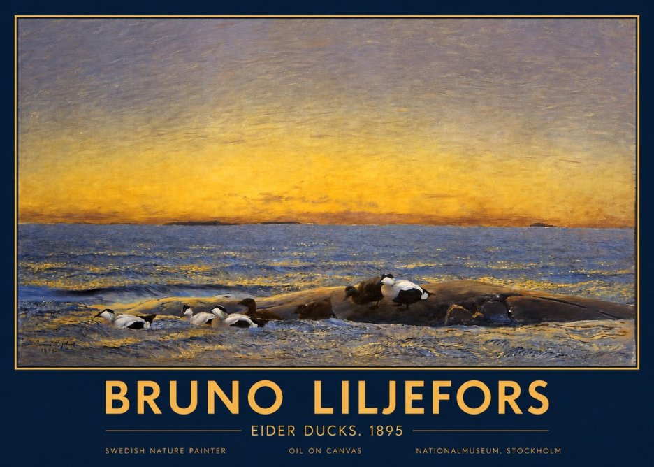 Bruno Liljefors Eider Ducks. 1895 No2 - Plakat