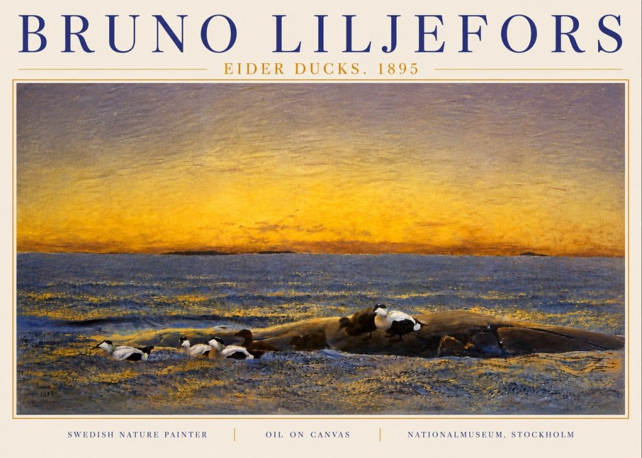 Bruno Liljefors Eider Ducks. 1895 No6 - Plakat