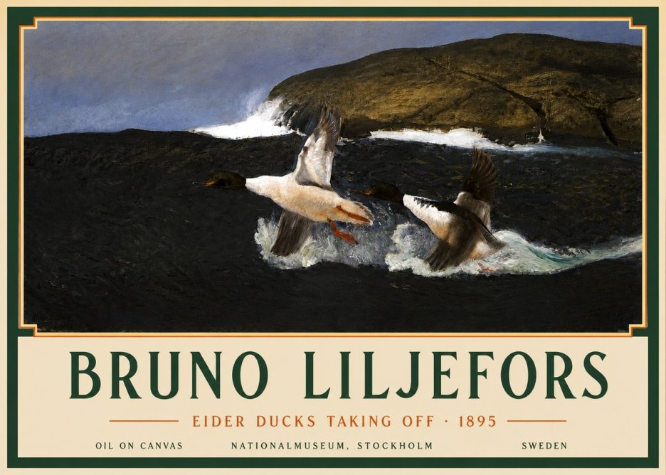 Bruno Liljefors Ducks Taking Flight No5 - Plakat