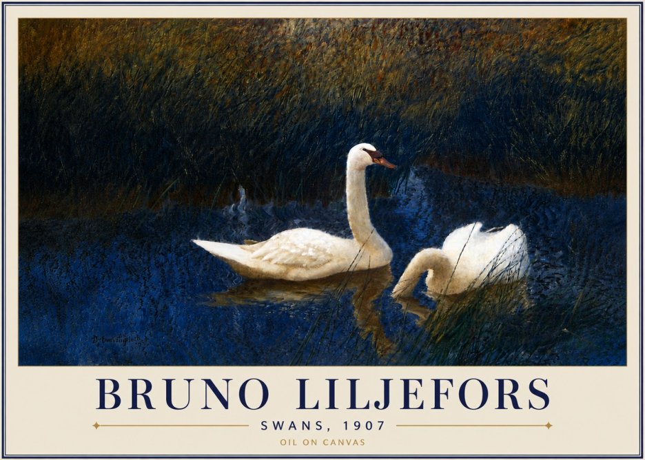 Bruno Liljefors Swans, 1907 No5 - Plakat