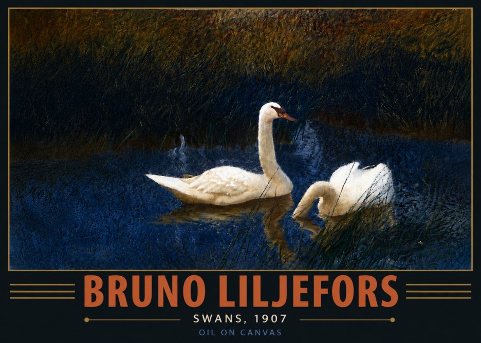 Bruno Liljefors Swans, 1907 No6 - Plakat