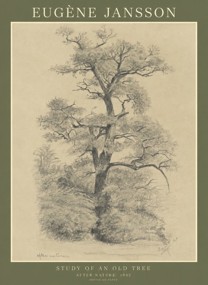 Eugène Jansson Study of an Old Tree No1 - Plakat