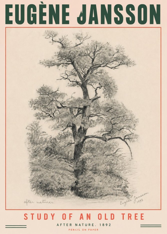 Eugène Jansson Study of an Old Tree No3 - Plakat