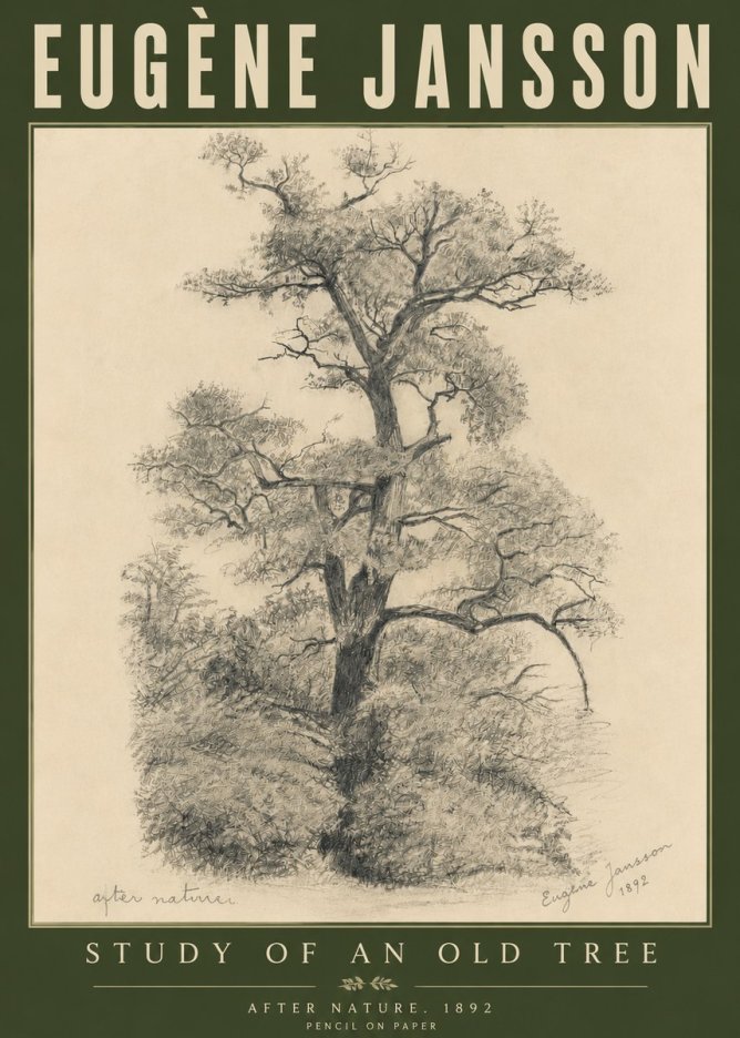Eugène Jansson Study of an Old Tree No6 - Plakat