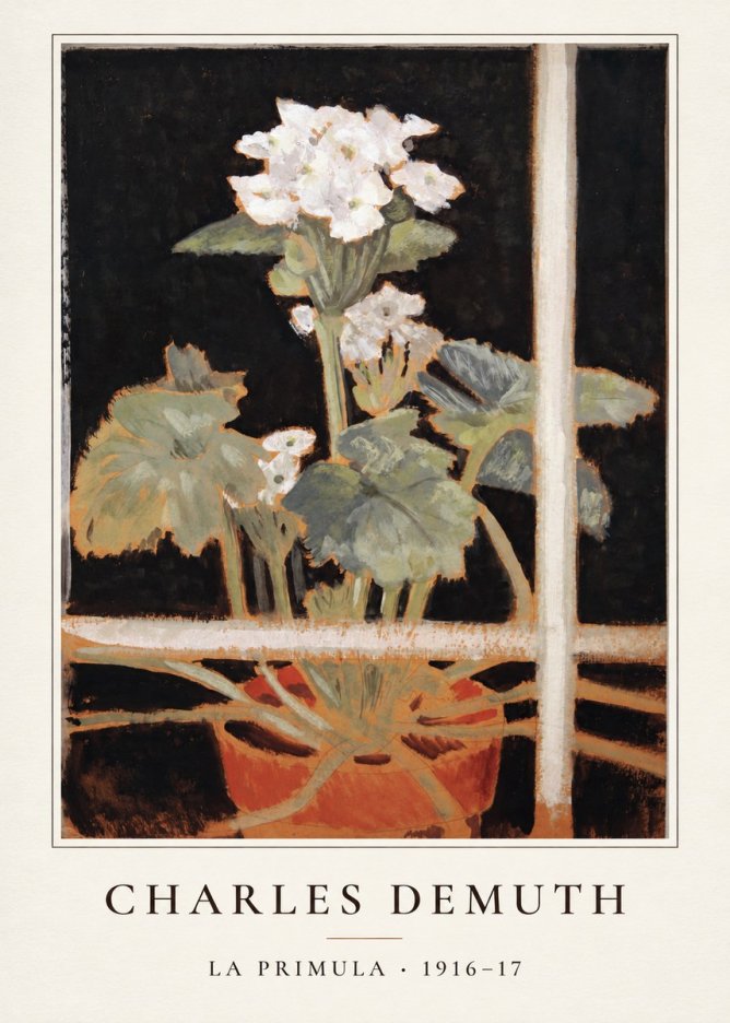 Charles Demuth La Primula No4 - Plakat