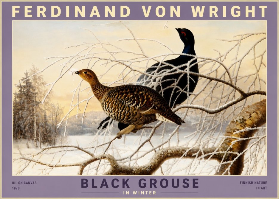 Ferdinand von Wright Black Grouse in Winter No3 - Plakat