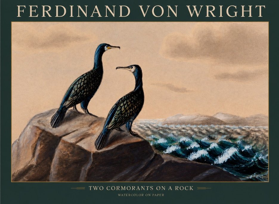 Ferdinand von Wright Two Cormorants on a Rock No1 - Plakat