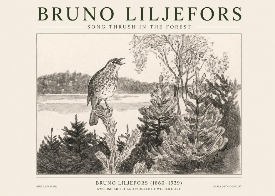 Bruno Liljefors Song Thrush in the Forest No1 - Plakat