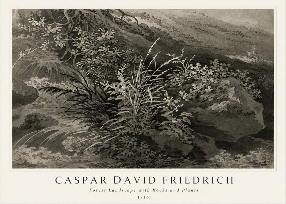 Caspar David Friedrich Forest Landscape with Rocks and Plants No1 - Plakat