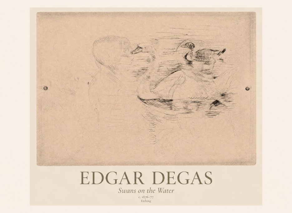 Edgar Degas Swans on the Water No1 - Plakat