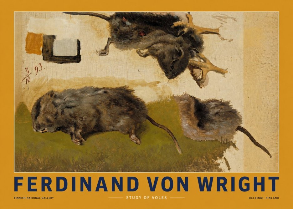 Ferdinand von Wright Studies of Lemmings No3 - Plakat