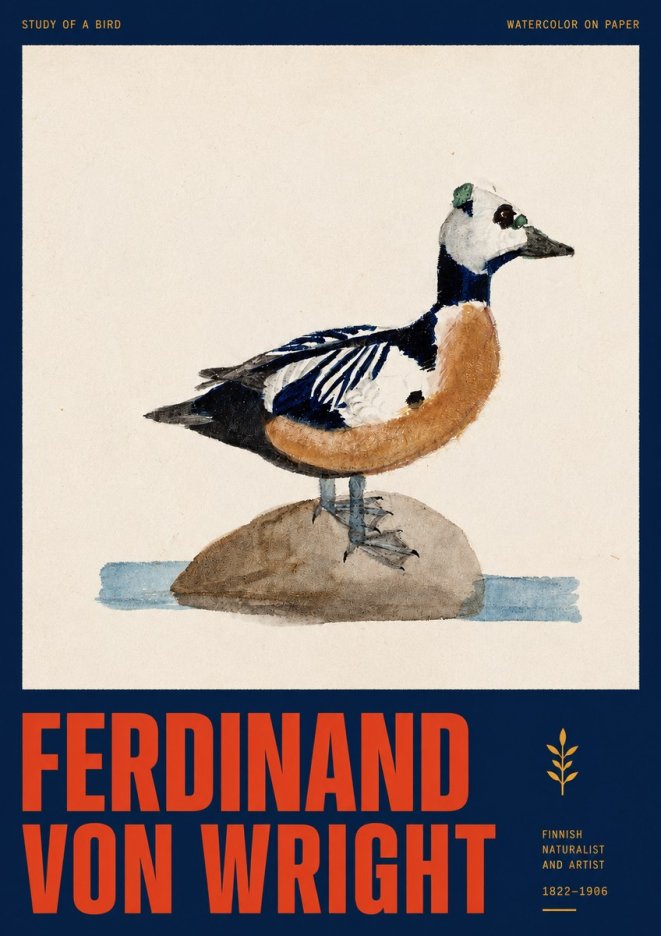 Ferdinand von Wright Study of a Bird No2 - Plakat
