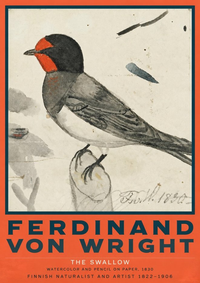 Ferdinand von Wright The Swallow No2 - Plakat